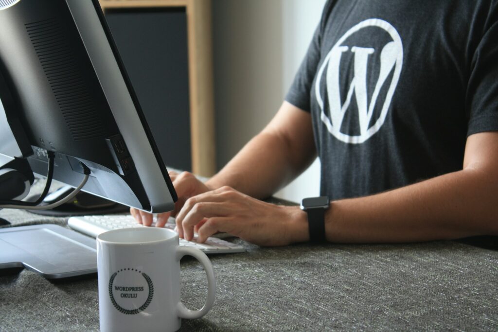 Professional WordPress Maintenance